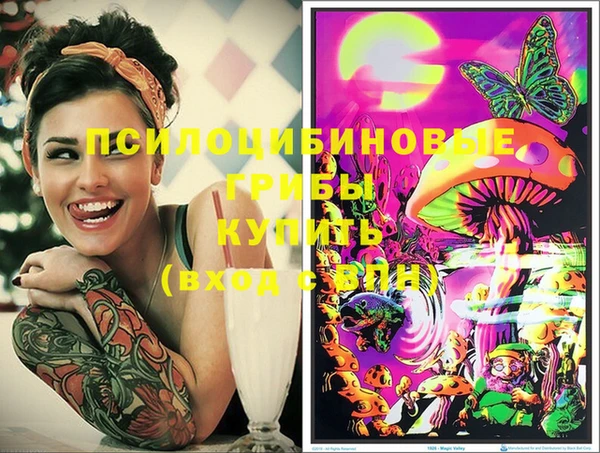 apvp Костерёво
