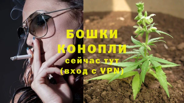 apvp Костерёво