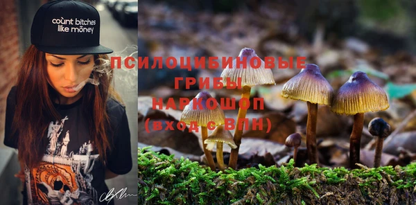 прущие крисы Коряжма