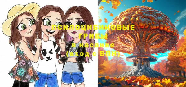 прущие крисы Коряжма