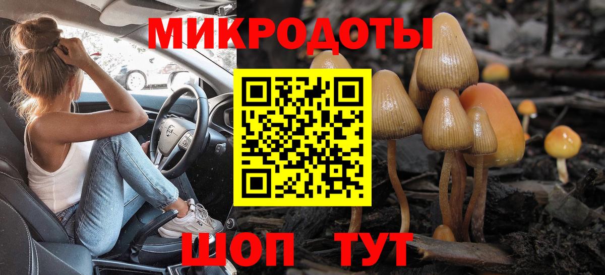 Абакан  Псилоцибиновые грибы Magic Shrooms  Вход с VPN 